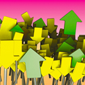 How Many Investment Options Should 401k Plan Sponsors Offer?