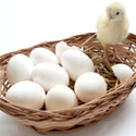 How Plan Sponsors Can Help 401k Investors Avoid Overdiversification