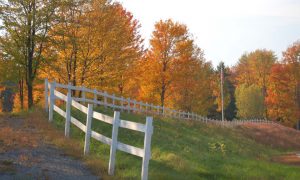 fence-1388285-660x395