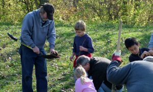 to-plant-a-tree-660x395