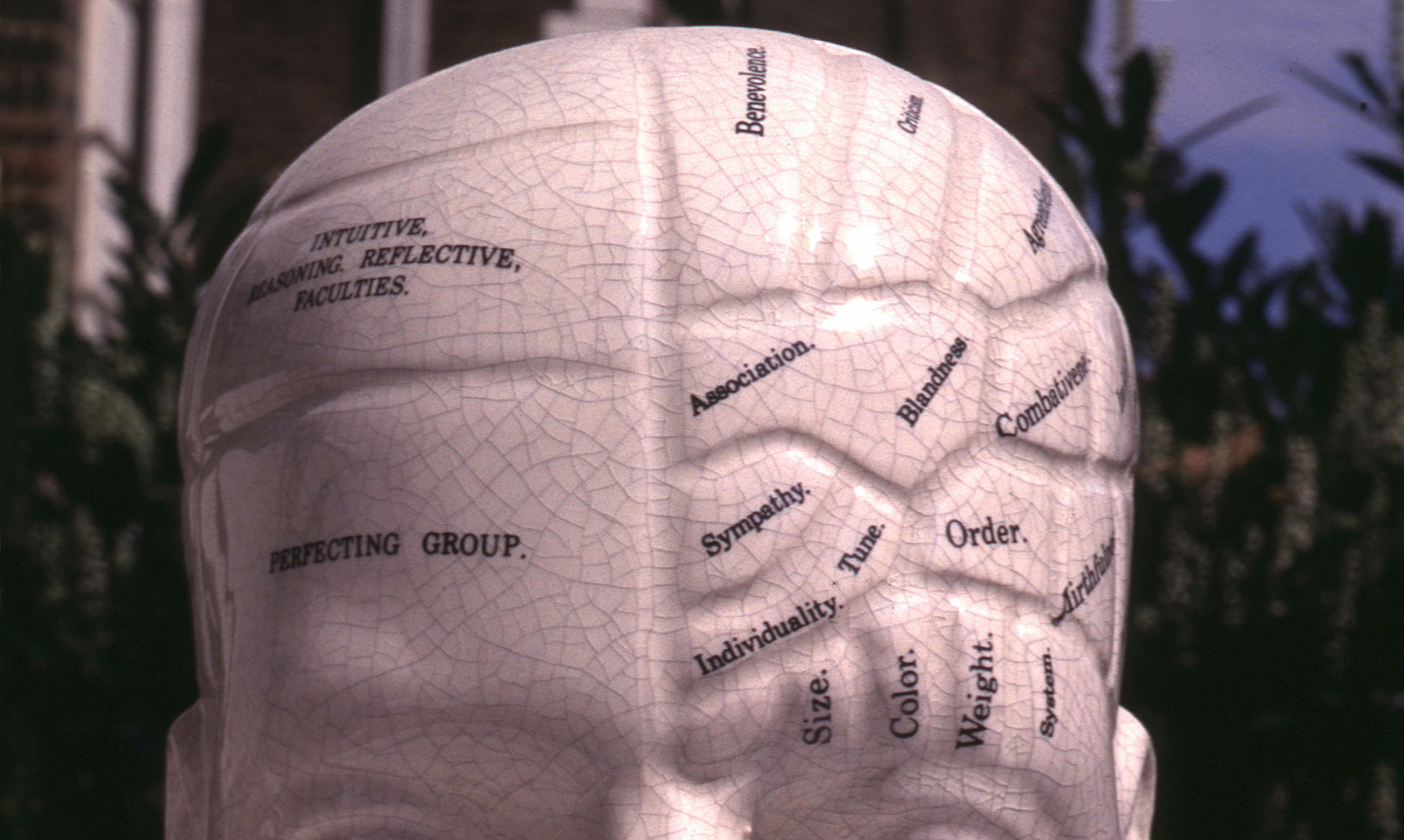 Is “Active Share” the New Phrenology?