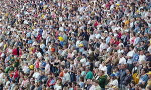 rugby-crowd-in-stand-1479950-660x395