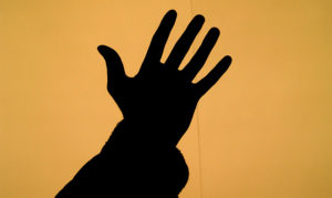 shadow-1195521-660x394