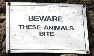 beware-1312290-660x395