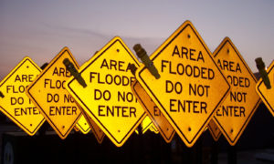 yellow-street-signs-1444793-660x395