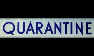 quarantine-1313617-660x395