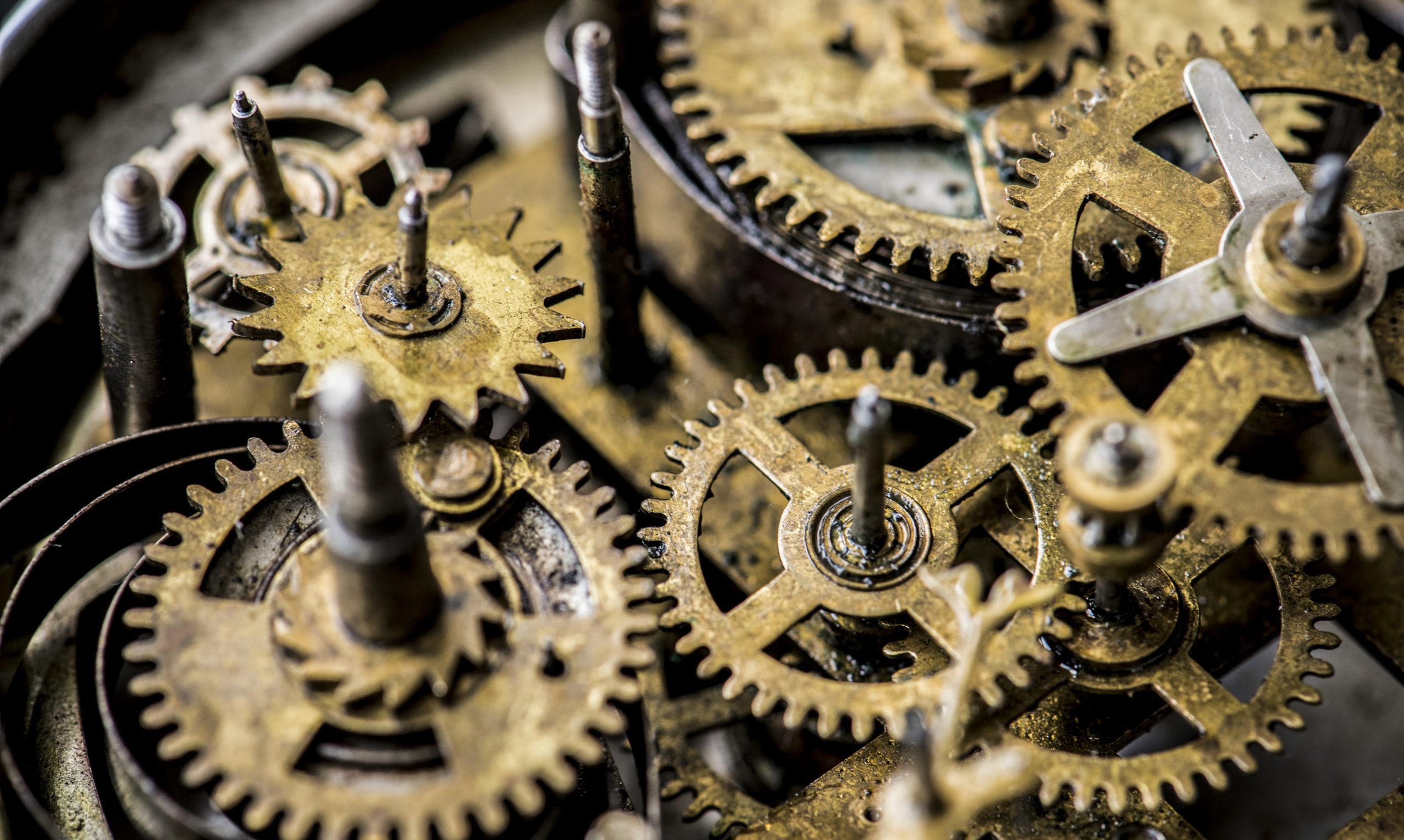 Top Issues (And Their Solutions) 401k Plan Sponsors Have With Payroll Processors