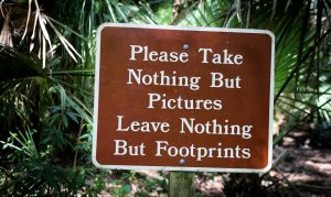 Photo by Florida-Guidebook.com on Unsplash