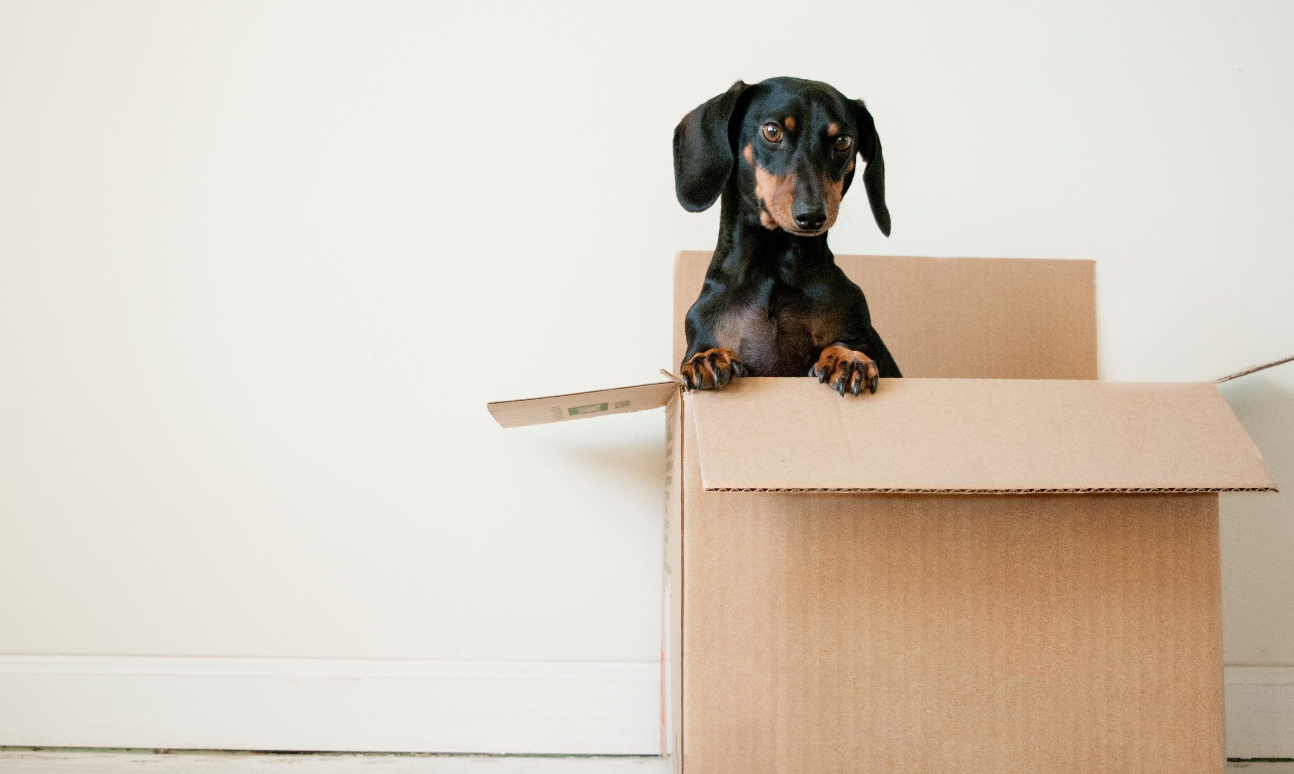 Outside (Inside) The Box Thinking About Non-Traditional Employee Benefits