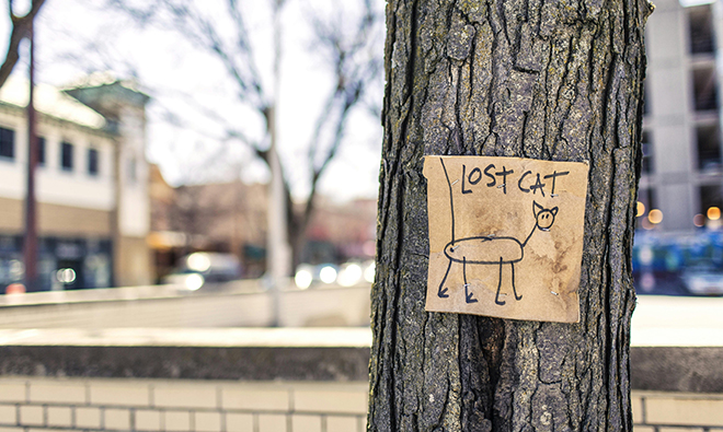 Is The DOL’s New Lost And Found Database Worth It Or Just A New 401k Plan Sponsor Chore?